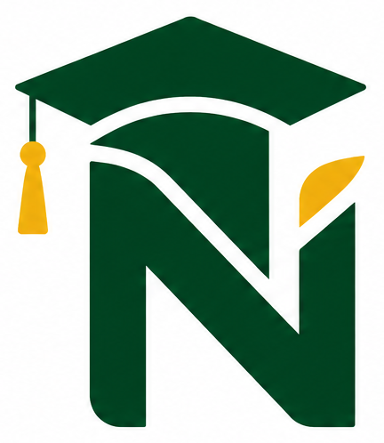 Nyansix logo
